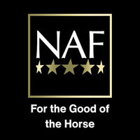 Produktbild von NAF It's So Silky Serum Entfilzungsspray zur Mähnen- und Schweifpflege für Pferde 100 ml