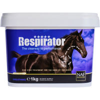 Produktbild von NAF Respirator Pulver zur Unterstützung der Atemwege 1 kg