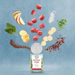 naftie Bio Wiesen Rind Stückchen in Sauce Senior 800g – Bild 1 von 2