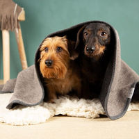 Produktbild von nahtur-design Hundedecke aus 100% Schurwolle in Braun Größe S