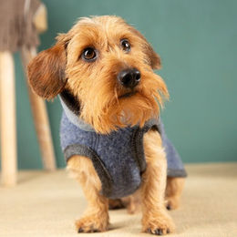 nahtur-design Hundemantel aus 100% Wolle wasserabweisend für kleine Hunde in Grau oder Blau – Bild 1 von 2