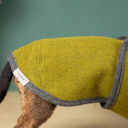 nahtur-design Hundemantel für kleine Hunde aus Wolle wasserabweisend in Grau und Grün – Bild 1 von 2