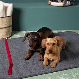 nahtur-design Hundematte aus 100% Schurwolle Loden – Bild 1 von 2