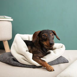 nahtur-design Kuschelhöhle für Hunde aus 100% Wolle in Anthrazit Größe L – Bild 1 von 2