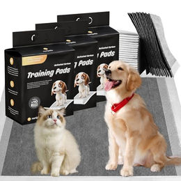 Nanipets Trainingspads für Hunde Welpenunterlagen mit Aktivkohle 60 x 60 cm 120 Stück - 120 x 60 cm – Bild 1 von 13