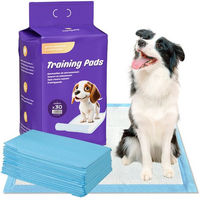 Produktbild von Nanipets Welpenunterlage für Hunde superabsorbierend und auslaufsicher 60 x 60 cm 30 Stück
