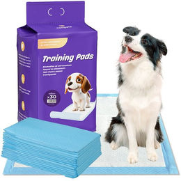 Nanipets Welpenunterlage Trainingspad für Hunde Blau 60 Stück - 60 x 60 g – Bild 1 von 11