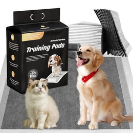 Nanipets Welpenunterlage Trainingspad für Hunde mit Aktivkohle 45 x 60 cm 50 Stück – Bild 1 von 10