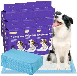 Nanipets Welpenunterlage Trainingspad für Hunde superabsorbierend und auslaufsicher in Blau – Bild 1 von 2