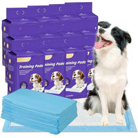 Produktbild von Nanipets Welpenunterlage Trainingspad für Hunde superabsorbierend und auslaufsicher in Blau