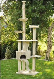 Produktbild von Nanook Kratzbaum Sigurd mit Deckenspanner beige
