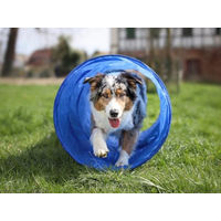 Produktbild von NATIV Agility-Tunnel für Hundetraining aus Kunststoff in Blau XL