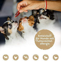 Produktbild von NATURAL SNACKIES Premium Hundesnacks Pferdefleischwürfel getreidefrei 170g - 170 g