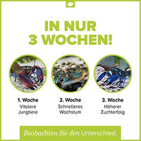 Produktbild von NatureHolic Cheraxfeed JUNIOR Krebsfutter für Krebse im Aquarium 30g - 30 g
