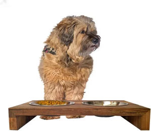 NATUREHOME Design Hundebar aus FSC-zertifiziertem Holz und Edelstahl für Futternapf und Wassernapf 50 cm Braun – Bild 1 von 4