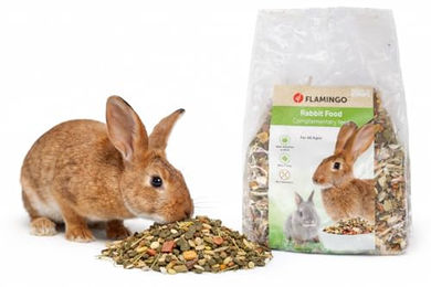 Natürliches Heu als Snack für Hamster und Kaninchen 1 kg – Bild 1 von 4