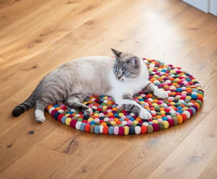 naturling Katzenteppich aus Wolle in Bunt 60cm – Bild 1 von 2