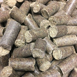 Produktbild von NATUSAT Apfelleckerli mit Thymian Kräuter Ergänzungsfutter 1 kg