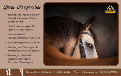 Produktbild von Natusat Lorbeeröl zur Hufpflege 450 ml