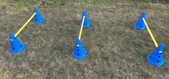 Produktbild von Navaris Agility-Hürden Set für Hunde aus Kunststoff zum Hundetraining