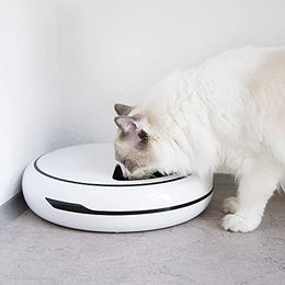 Navaris Automatischer Futterautomat mit Timer und akustischer Benachrichtigung für kleine Hunde und Katzen 1,6 L aus Kunststoff – Bild 1 von 8