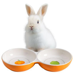 Navaris Doppelter Keramik Fressnapf für Katzen und Kleintiere Orange – Bild 1 von 6