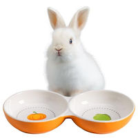 Produktbild von Navaris Doppelter Keramik Fressnapf für Katzen und Kleintiere Orange
