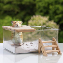 Navaris Hamster Sandbad mit transparenter Kunststoff-Box für Hamster, Zwerghamster und Mäuse – Bild 1 von 6