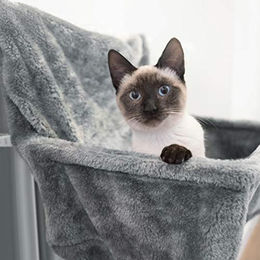 Navaris Katzen Hängematte als Kuschelsack für die Heizung in Grau aus Metall - 1 Stk. – Bild 1 von 5
