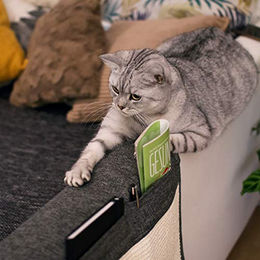 Navaris Katzen Kratzmatte aus Sisal als Kratzschutz für das Sofa mit 2 Fächern 128 x 45 cm – Bild 1 von 5