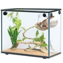 Navaris Terrarium-Dekoration Set aus Holz mit Hängematte, Seil, Baum, Pflanze und Rampe für Chamäleon, Bartagame, Gecko und Eidechse – Bild 1 von 8