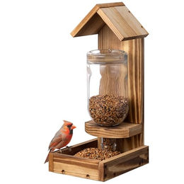 Navaris Vogelhaus aus Kiefernholz mit Glasflasche als Futterspender für Wildvögel - 0,75 l – Bild 1 von 1