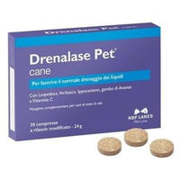 Produktbild von NBF Lanes Drenalase Pet Tabletten für Hunde zur Unterstützung der Harnwege und des Wasserhaushalts 30 Stück