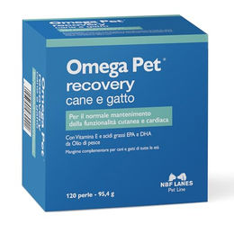 NBF Lanes Omega Pet Recovery Perlen für Hunde und Katzen zur Erhaltung der Haut- und Herzfunktion 120 Stück – Bild 1 von 1