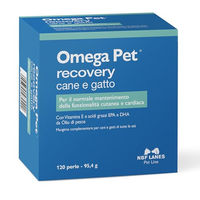 Produktbild von NBF Lanes Omega Pet Recovery Perlen für Hunde und Katzen zur Erhaltung der Haut- und Herzfunktion 120 Stück