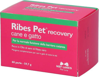 NBF Lanes Ribes Pet Recovery Perlen für Hunde und Katzen – Bild 1 von 1