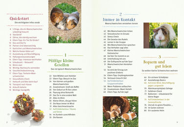 Neugierige Meerschweinchen von Immanuel Birmelin Graefe Und Unzer Verlag – Bild 1 von 9