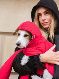 New Orchard Hundeshirt Hoodie aus Nylon in Blau und Rot Größe XS – Bild 1 von 2