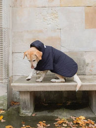 New Orchard Hundeshirt Hoodie aus Nylon in Marine Blau Rot Blau Größe S – Bild 1 von 4