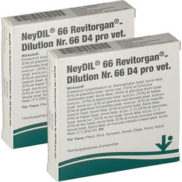 NEYDIL 66 REVIT 66 D4 VET VitOrgan Flüssigpräparat für Tiere – Bild 1 von 1