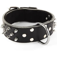 Produktbild von Nietenhalsband aus Rindsleder von Martin Sellier in Schwarz 65 cm