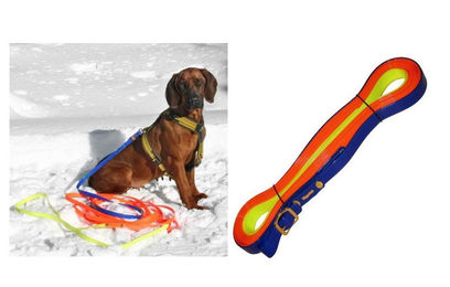 Niggeloh Biothane Schweißriemen Schleppleine Track 12m Bunt - 12 m – Bild 1 von 3