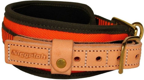 Niggeloh Erziehungshalsband Schweißhalsung für Hunde aus Neopren in Orange-Grün Größe M – Bild 1 von 4