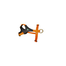 Produktbild von Niggeloh Follow Start Hundeführgeschirr aus Leder Braun/Orange Größe S/M