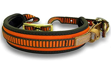 Niggeloh Hundehalsband Erziehungshalsband aus Neopren orange-grün Größe S – Bild 1 von 2