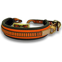 Produktbild von Niggeloh Hundehalsband Erziehungshalsband aus Neopren orange-grün Größe S