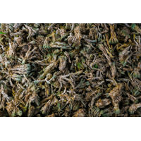 Produktbild von Nisthilfe für Nager im Moos-Design 125g