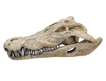 Nobby Aqua Ornaments Krokodil Schädel Aquariendekoration Figur und Höhle für Fische 26 x 14 x 9 cm – Bild 1 von 2