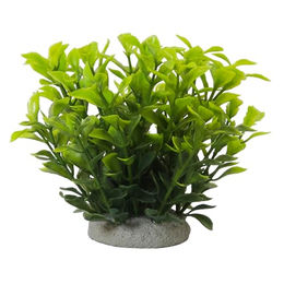 Produktbild von Nobby Aqua Ornaments Ludwigia Grün Aquariendekoration aus Polyresin für Süßwasserfische 6,5 x 6,5 x 11 cm