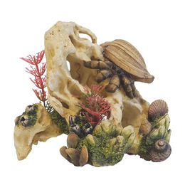 Nobby Aqua Ornaments Muschel auf Stein Aquariendekoration für Fische in Beige und Braun – Bild 1 von 4